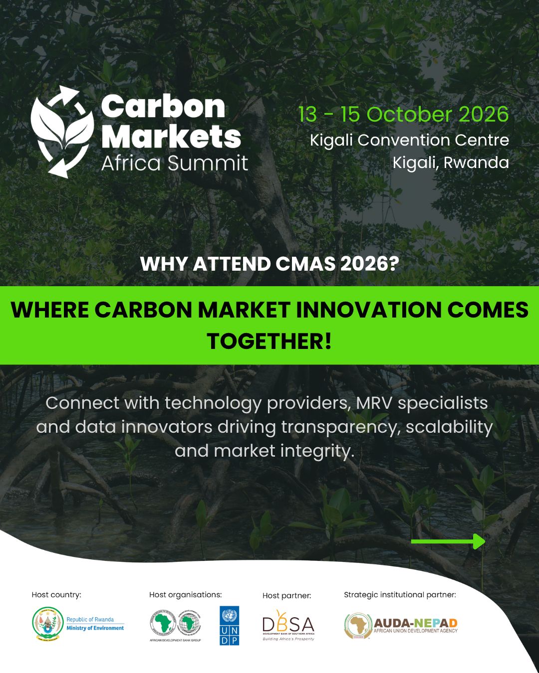 Carbon Markets Africa Summit