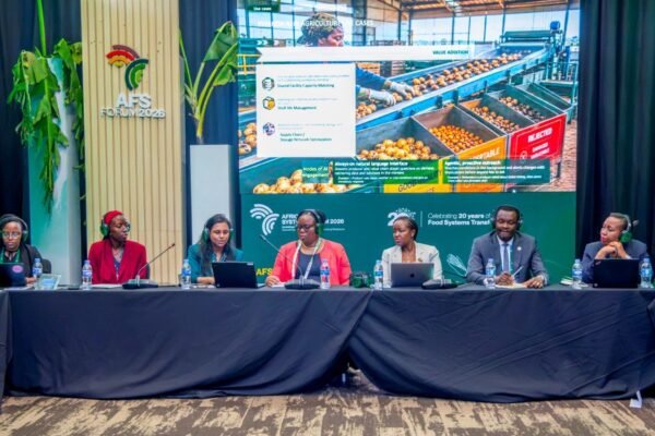 Rwanda is looking to use artificial intelligence to make farming more productive, with early testing of AI-powered crop planning and fertiliser advisory tools pointing to potential yield gains of about 20 per cent.